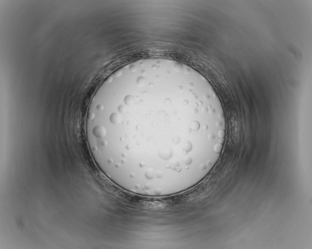 X0000113070698200908281010