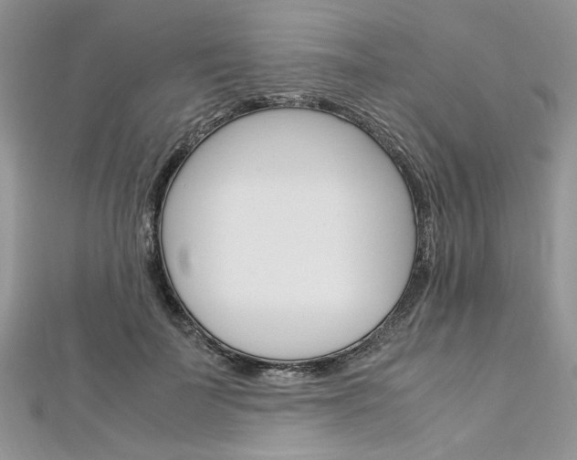 X0000113070699200908281010
