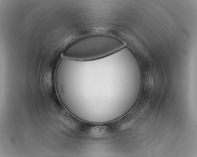 X0000113070700200908281010