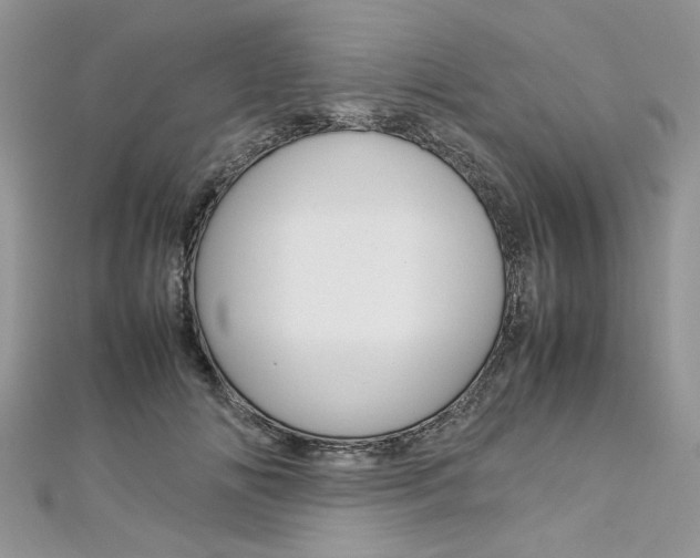 X0000113070702200908281010