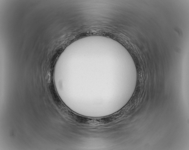 X0000113070703200908281010