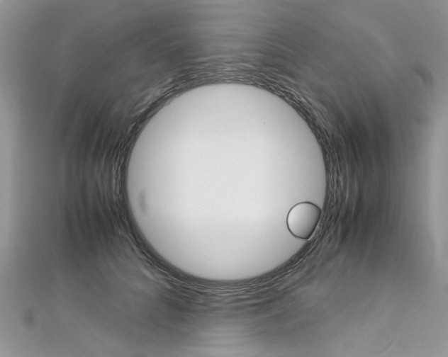 X0000113070704200908281010
