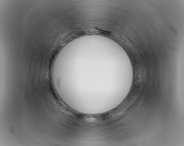 X0000113070706200908281010