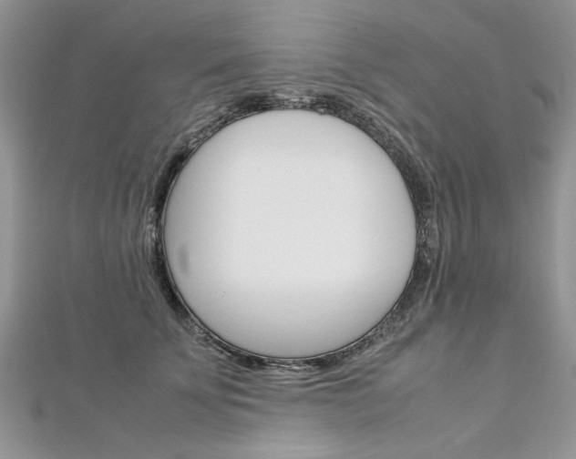 X0000113070707200908281010