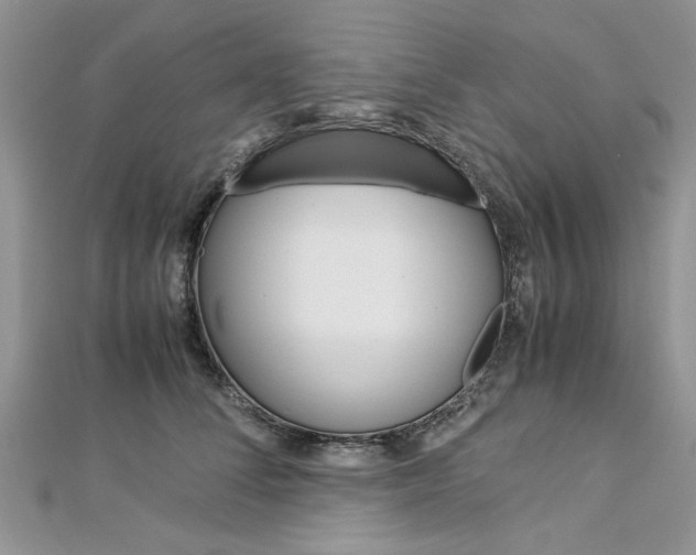 X0000113070708200908281010