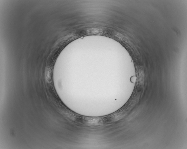 X0000113070709200908281010