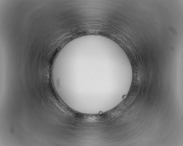 X0000113070710200908281010