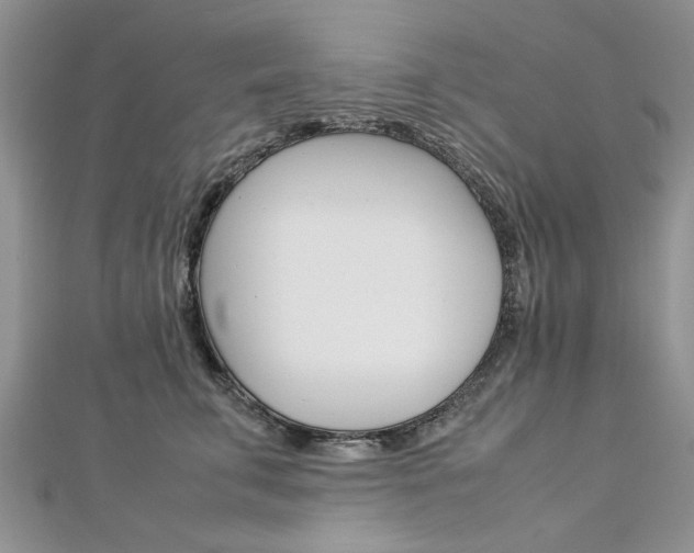 X0000113070711200908281010