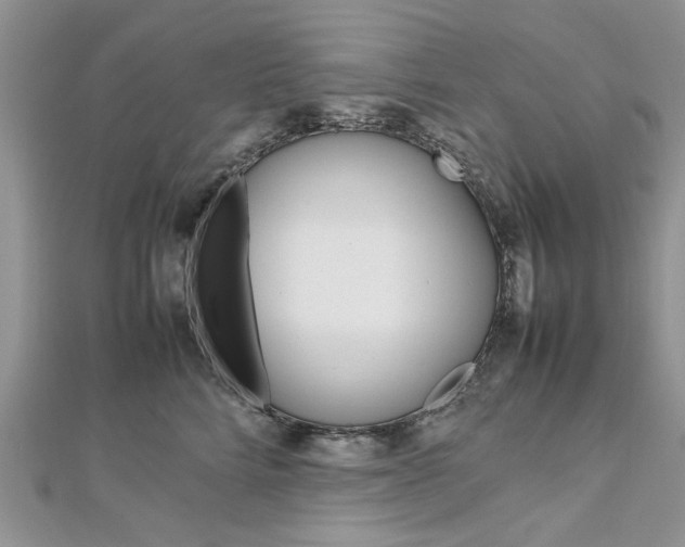 X0000113070712200908281010