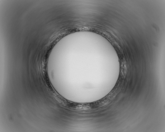 X0000113070714200908281010