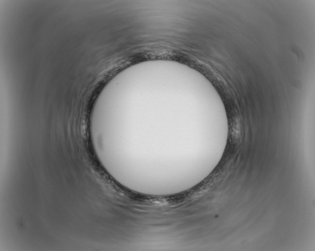 X0000113070715200908281010