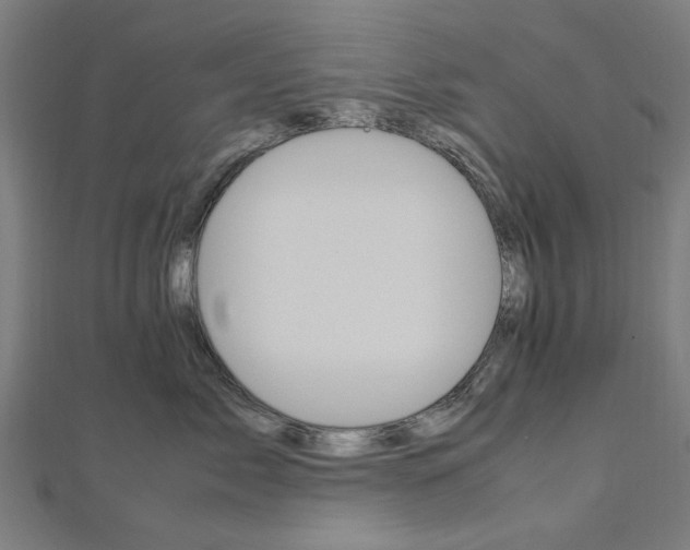 X0000113070717200908281010