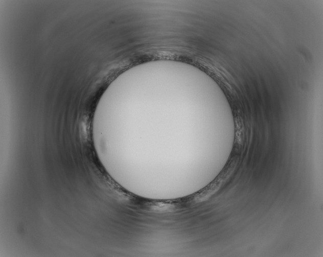 X0000113070718200908281010