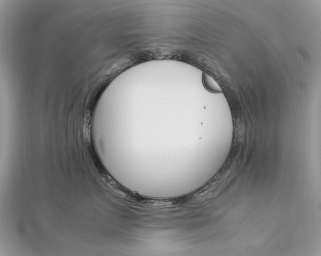 X0000113070719200908281010