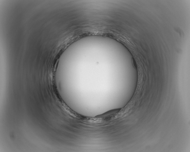 X0000113070720200908281010
