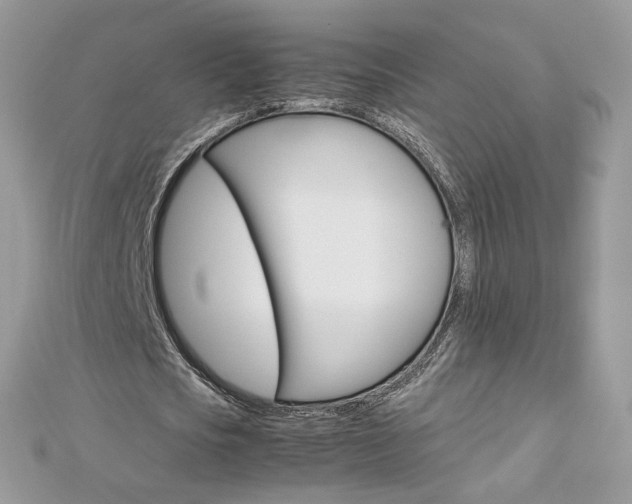 X0000113070721200908281009