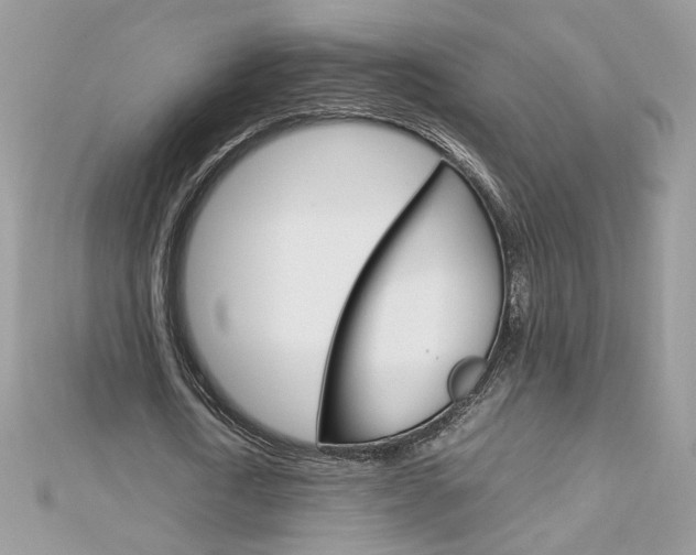 X0000113070722200908281009