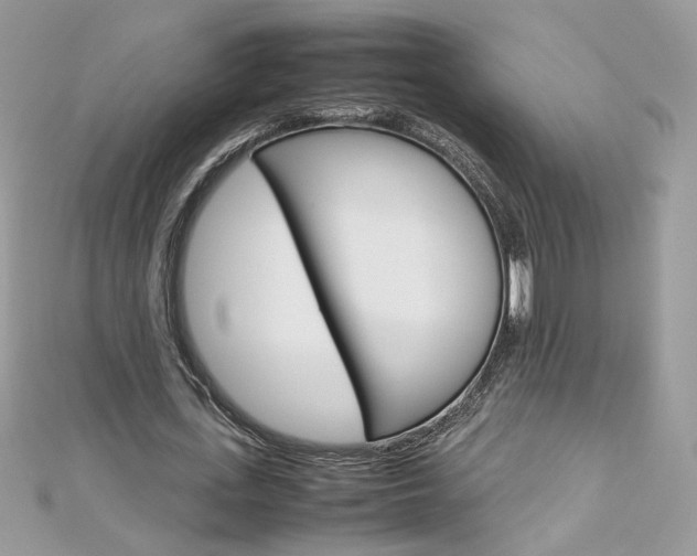 X0000113070723200908281009
