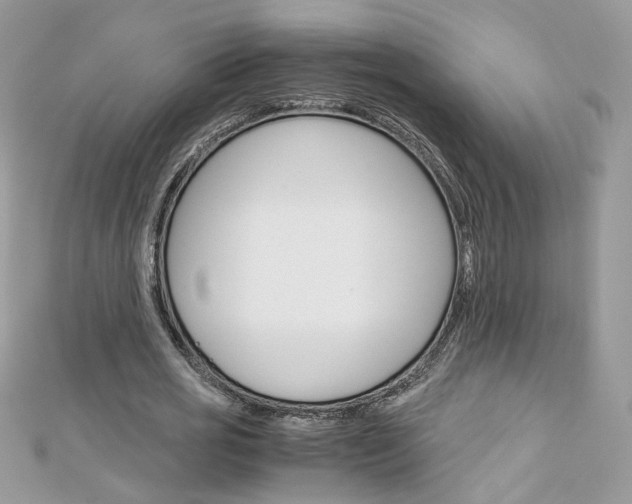 X0000113070725200908281009