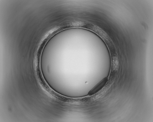 X0000113070726200908281009