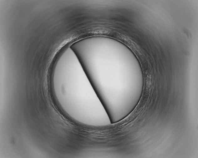 X0000113070727200908281009