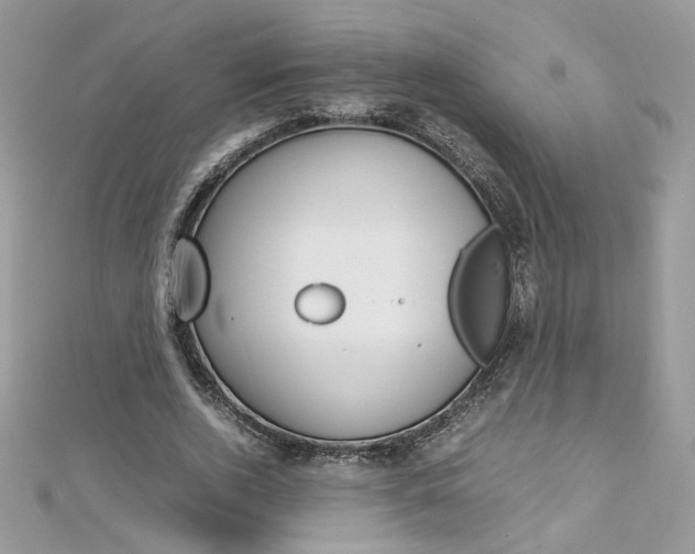 X0000113070728200908281009