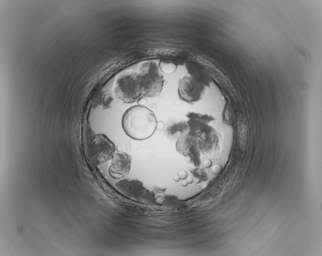 X0000113070729200908281009