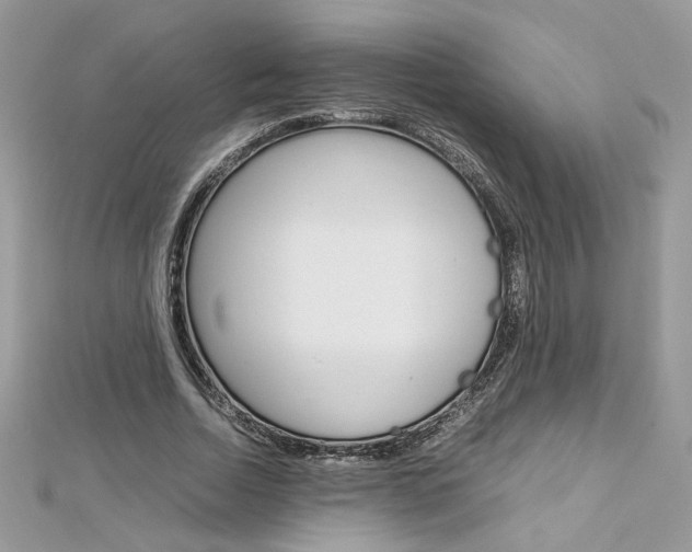 X0000113070730200908281009