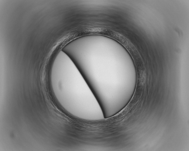 X0000113070731200908281009