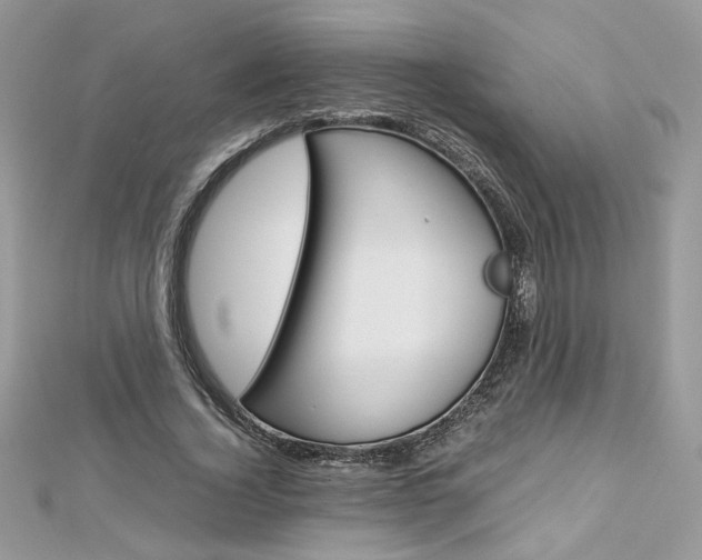 X0000113070732200908281009