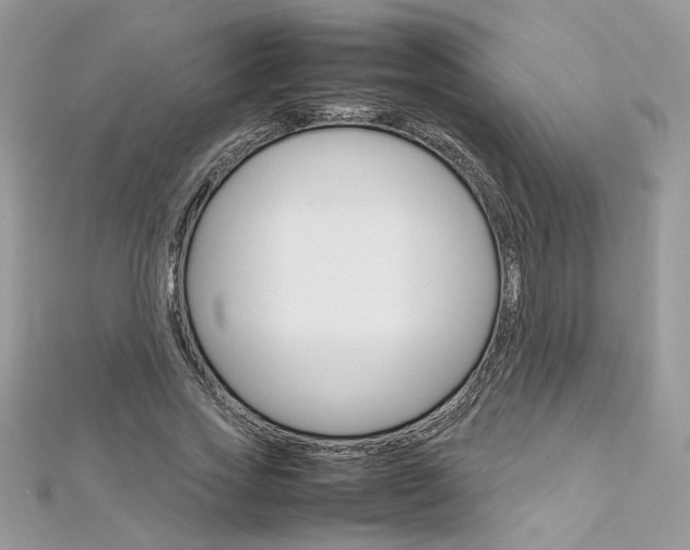 X0000113070733200908281009