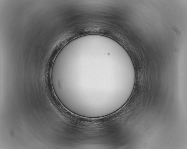 X0000113070735200908281009