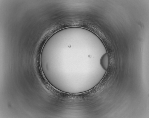 X0000113070736200908281009