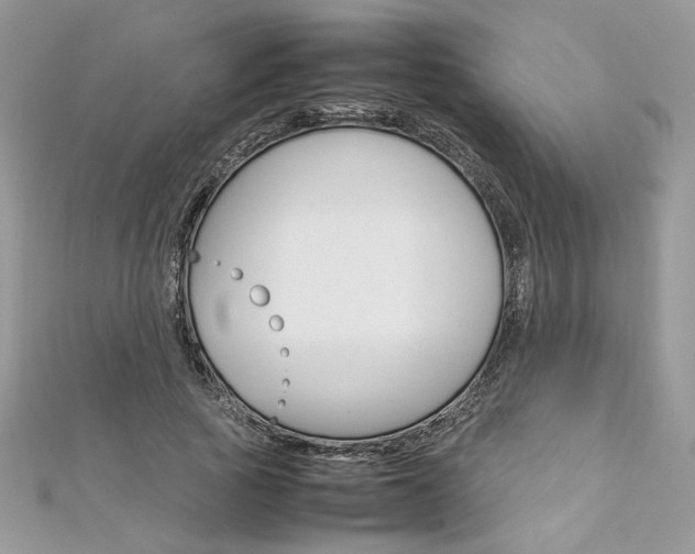 X0000113070737200908281009