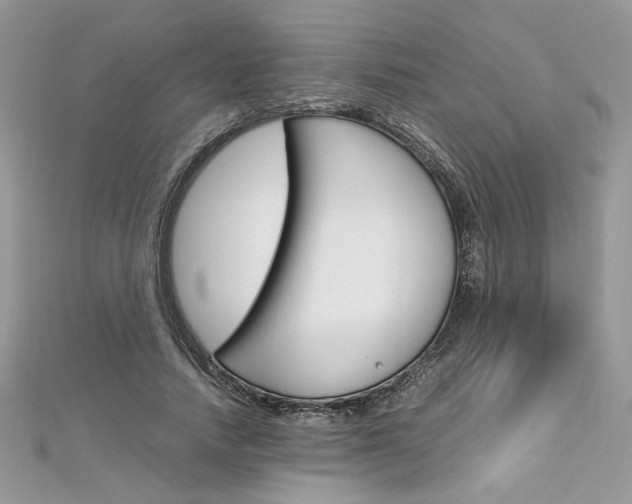 X0000113070738200908281009