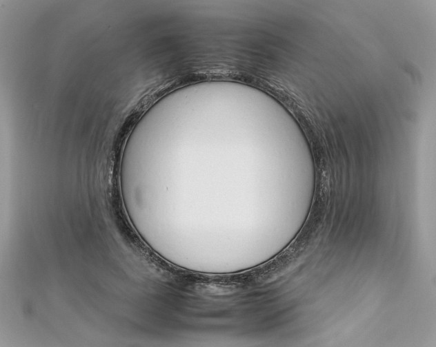 X0000113070739200908281009
