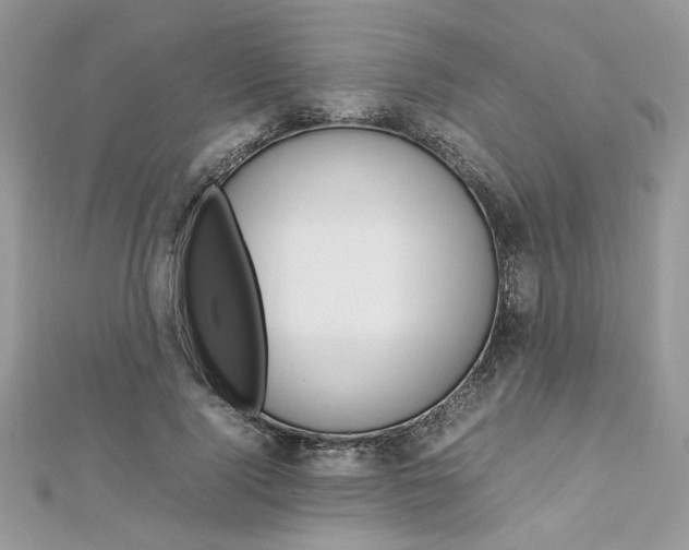 X0000113070740200908281009