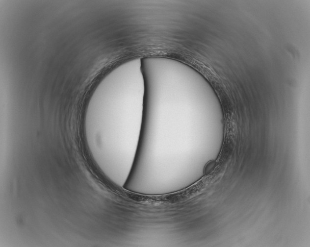X0000113070742200908281009