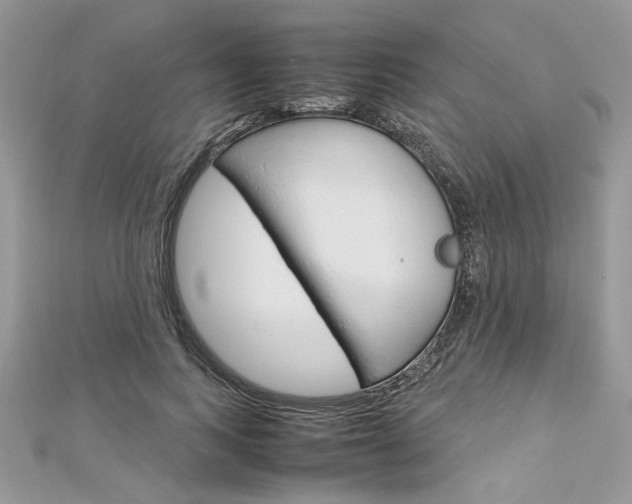 X0000113070743200908281009