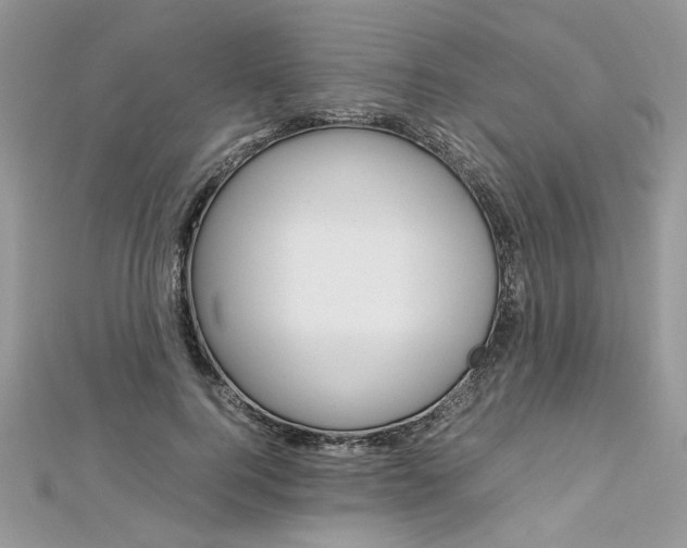 X0000113070744200908281010