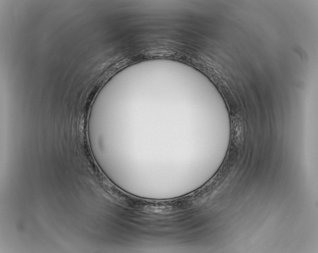 X0000113070745200908281010