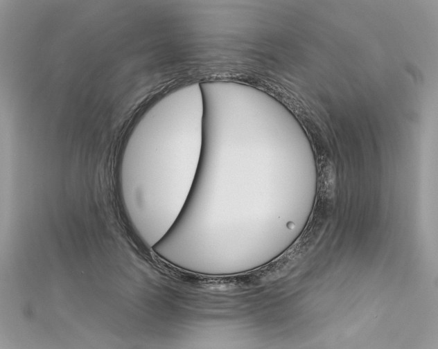X0000113070746200908281010