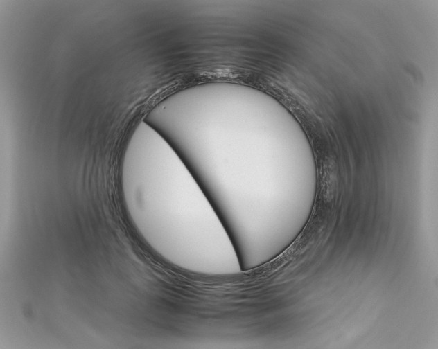 X0000113070747200908281010