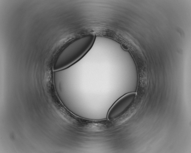 X0000113070748200908281010