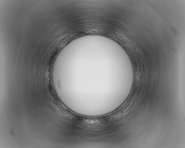 X0000113070749200908281010