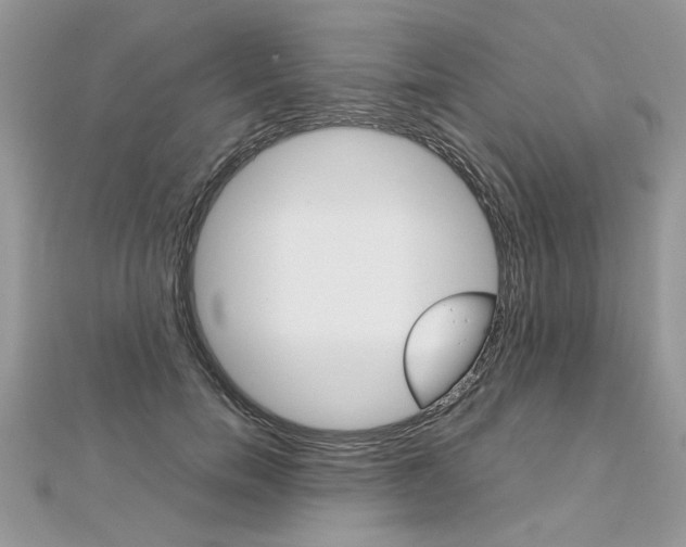 X0000113070750200908281010