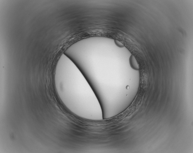 X0000113070751200908281010