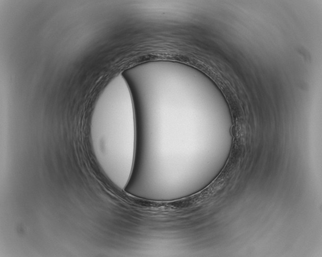 X0000113070752200908281010