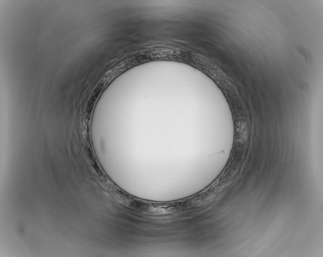 X0000113070753200908281010