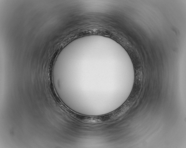 X0000113070754200908281010